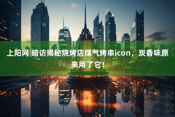 上阳网 暗访揭秘烧烤店煤气烤串icon，炭香味原来用了它！