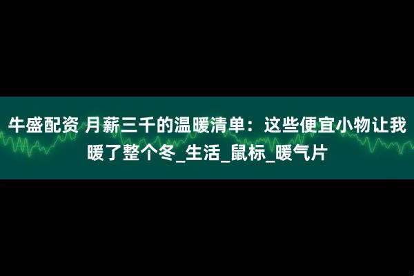 牛盛配资 月薪三千的温暖清单：这些便宜小物让我暖了整个冬_生活_鼠标_暖气片