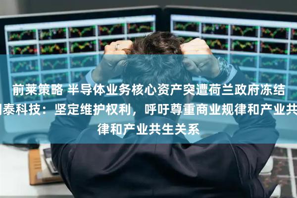 前莱策略 半导体业务核心资产突遭荷兰政府冻结一年 闻泰科技：坚定维护权利，呼吁尊重商业规律和产业共生关系